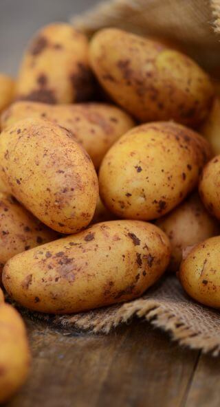 Frische Kartoffeln als Zutat für selbstgemachte Chips aus dem  Backofen mit integriertem Airfryer
