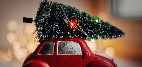 GUNST Blog - lustiges Motiv mit einem Spielzeugauto, das auf dem Dach einen geschmückten Weihnachtsbaum transportiert.