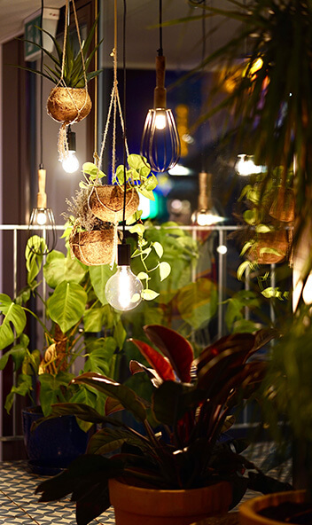 Stimmungsvolles Licht mit Pflanzen auf dem Balkon