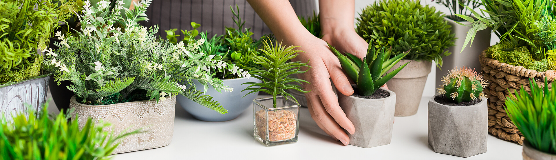 Header Blumen in Vasen und Töpfen