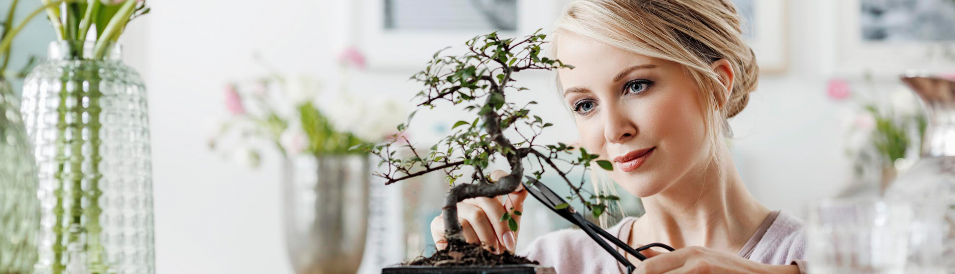 Header Blog mit Frau die einen Bonsaibaum schneidet